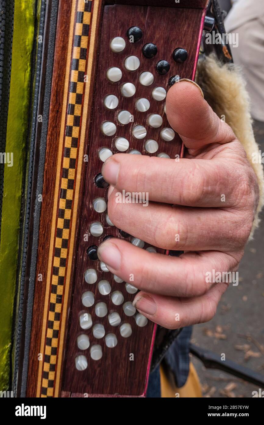 Close-up of the bass side of an ornate accordian with the player's hands on the bass buttons  at the farmer's market. Stock Photo