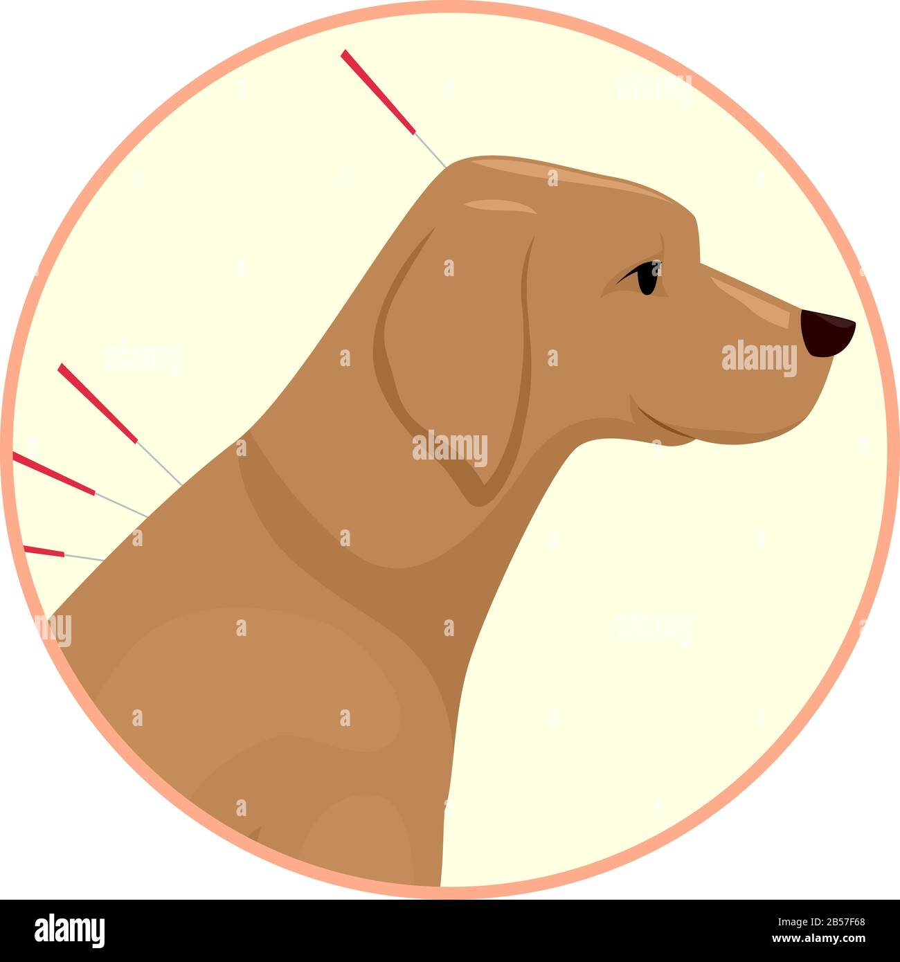 Illustration of a Dog Animal Icon with Acupuncture Needles Stock Photo