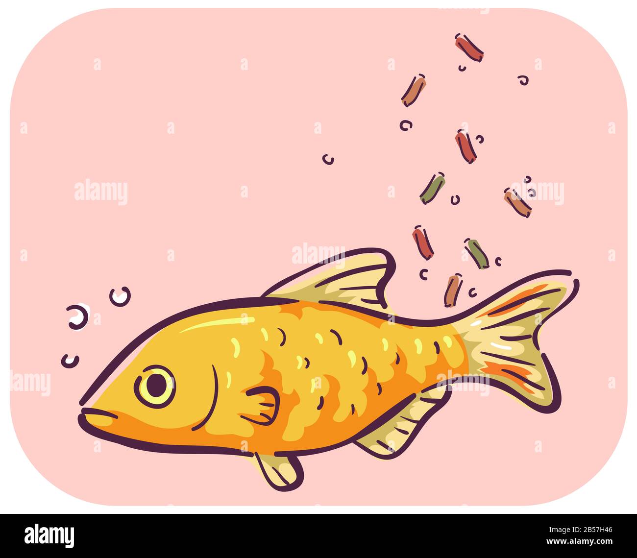 Illustration of a Barb Fish Pet with Loss Appetite Ignoring the Fish ...