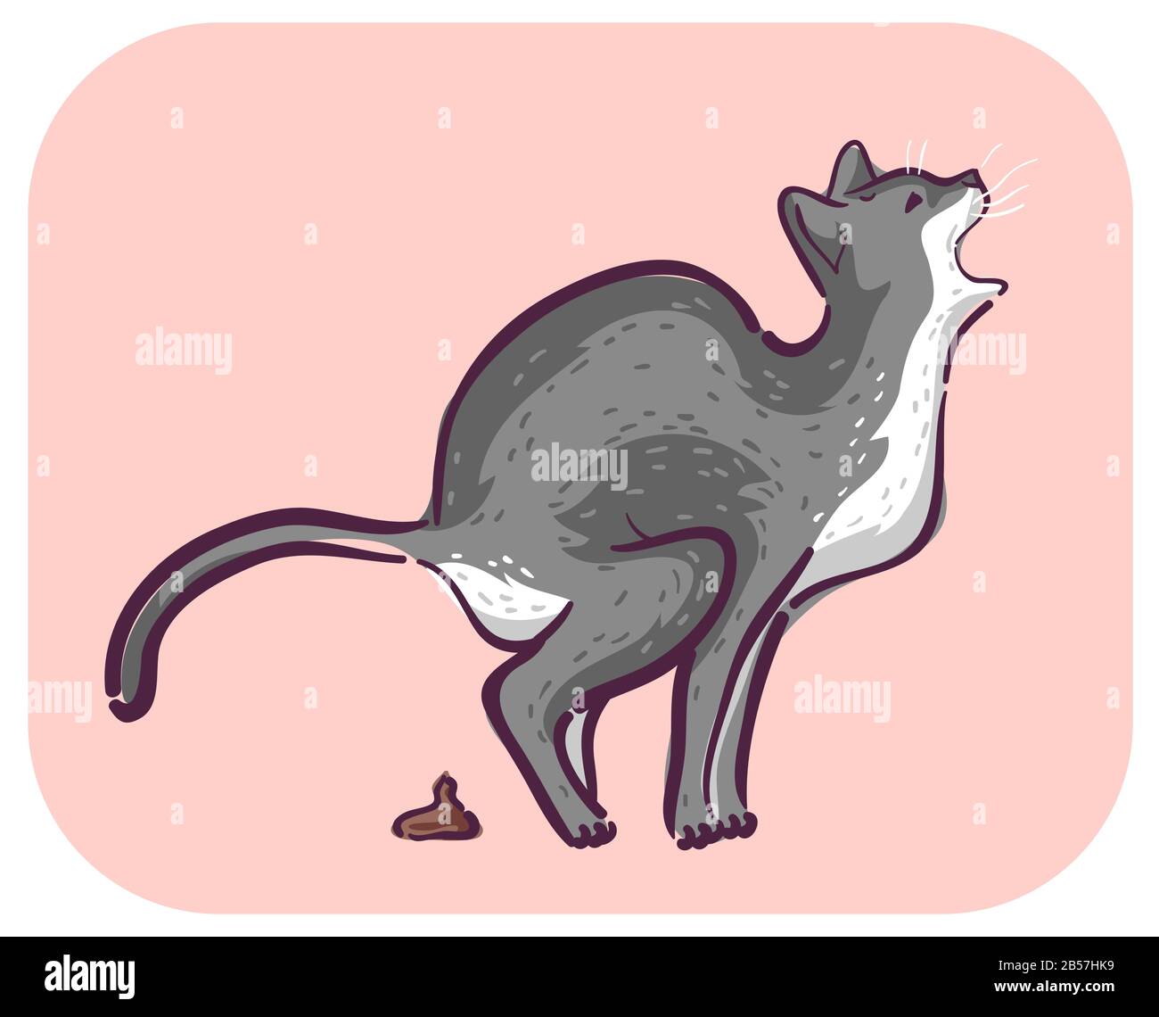 Illustration of a Cat Defecating in Pain Meowing Loudly, Symptom of Infectious Disease Stock Photo