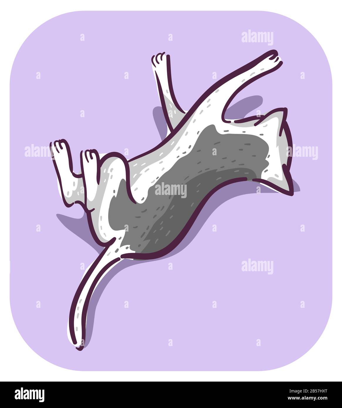 Shaking its body hires stock photography and images Alamy