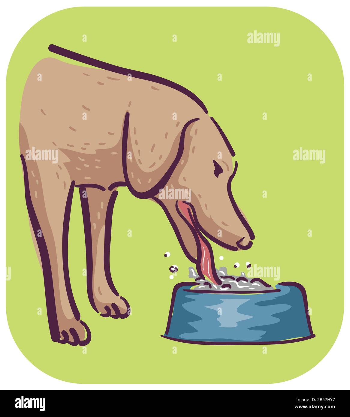 Illustration of a Dog Drinking Excessively From a Bowl, Symptom of Kidney Failure Stock Photo