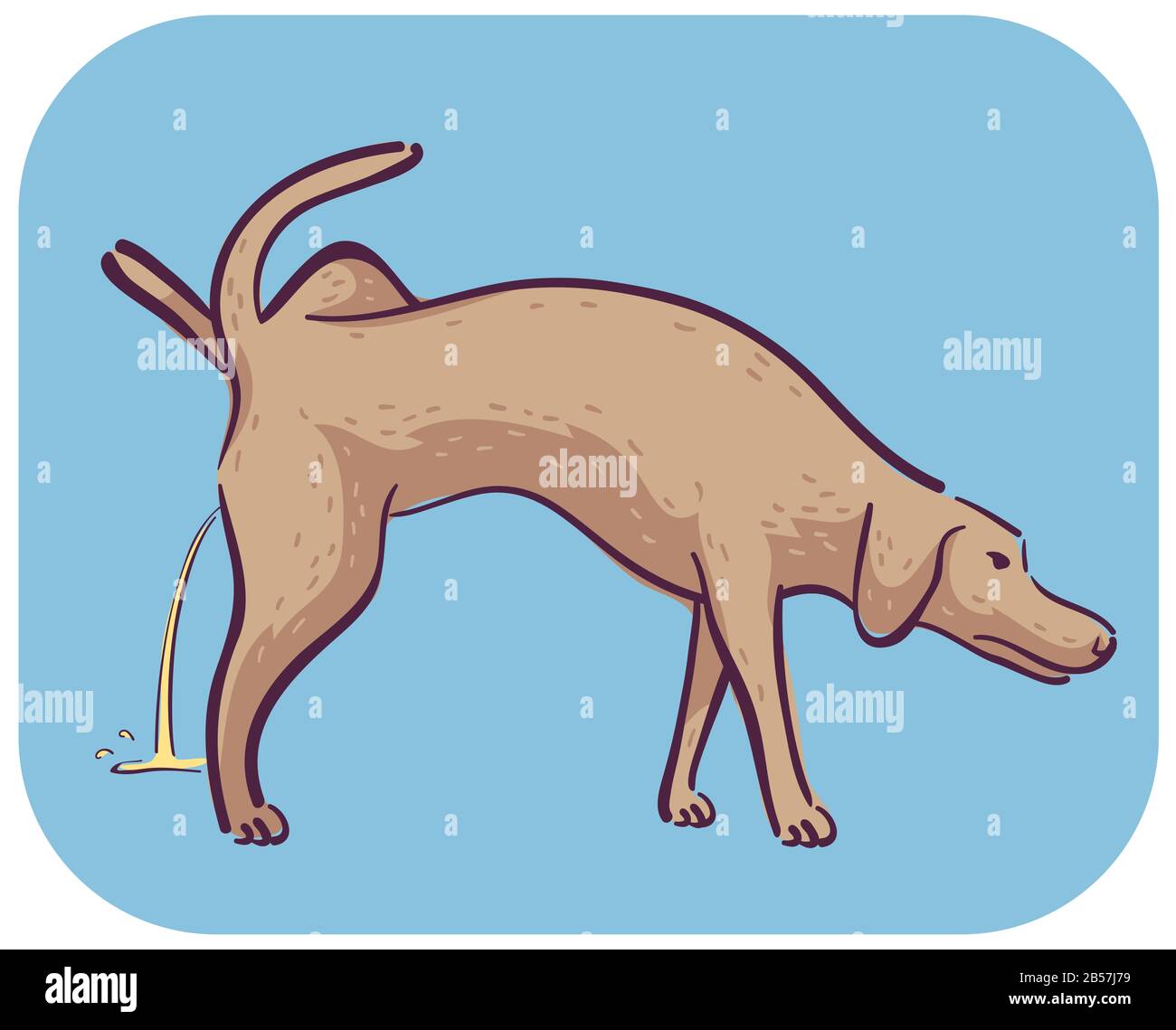 Illustration of a Dog with Raised Leg Peeing Excessively, Symptom of