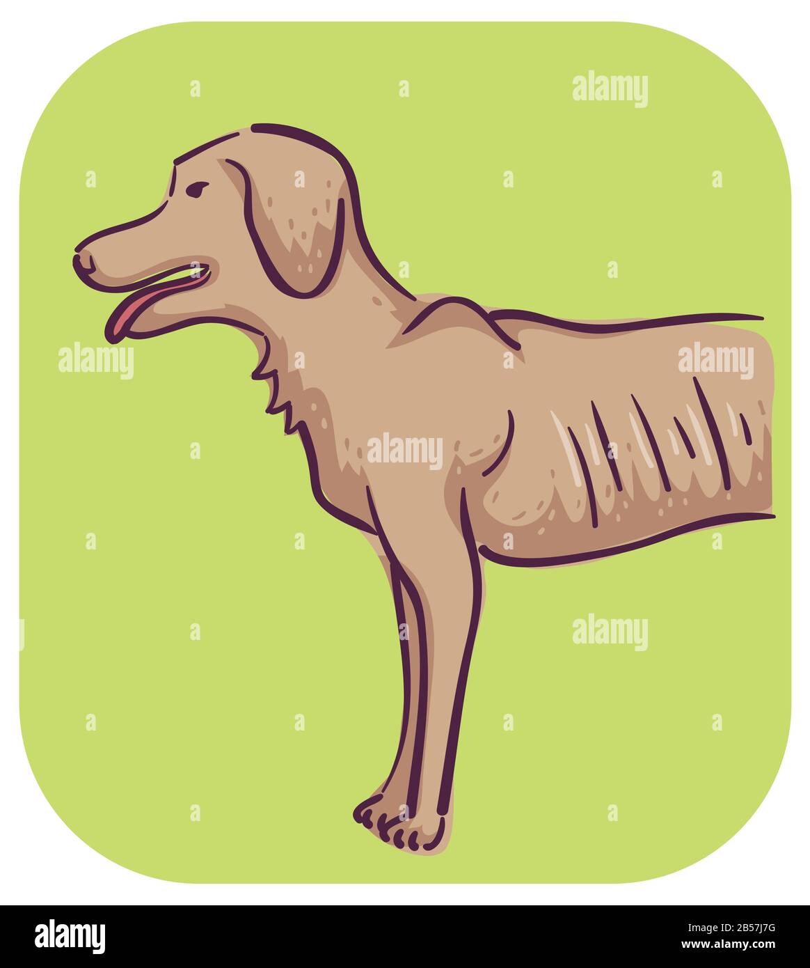 Can Rib Bones Hurt A Dog