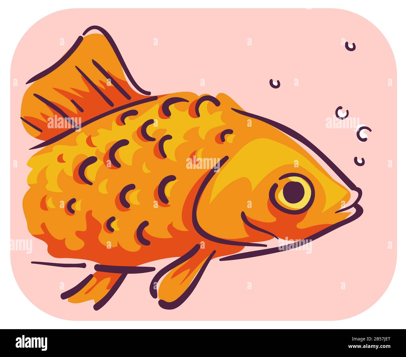 Illustration of a Pet Goldfish with Raised Scales, Symptom of Dropsy Stock Photo