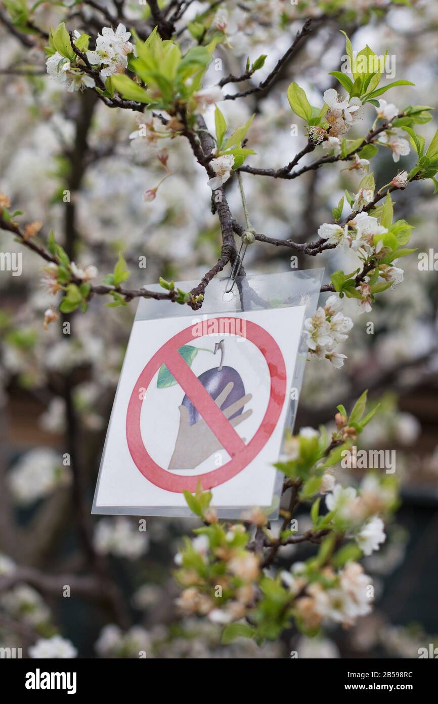 Pick fruit hires stock photography and images Alamy