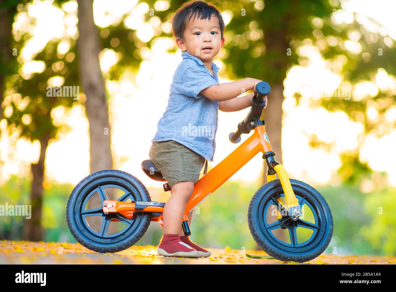 Baby 1 2 year old boy ride balance bike on road in park sunset light boy excercise with bike Stock Photo Alamy