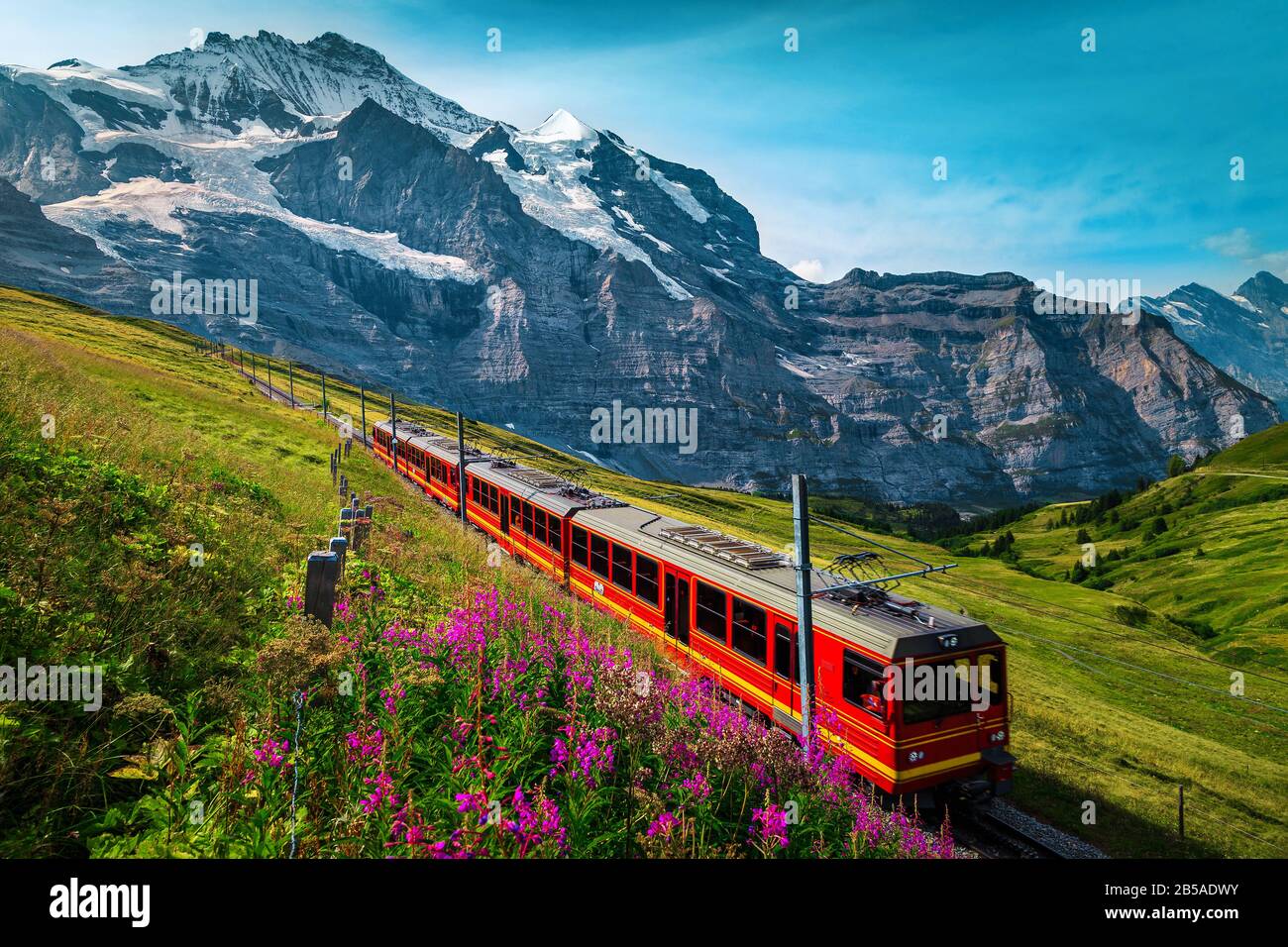 Fantastic cogwheel railway with electric red tourist train. Snowy Jungfrau mountains with glaciers, flowery fields and red passenger train, Kleine Sch Stock Photo