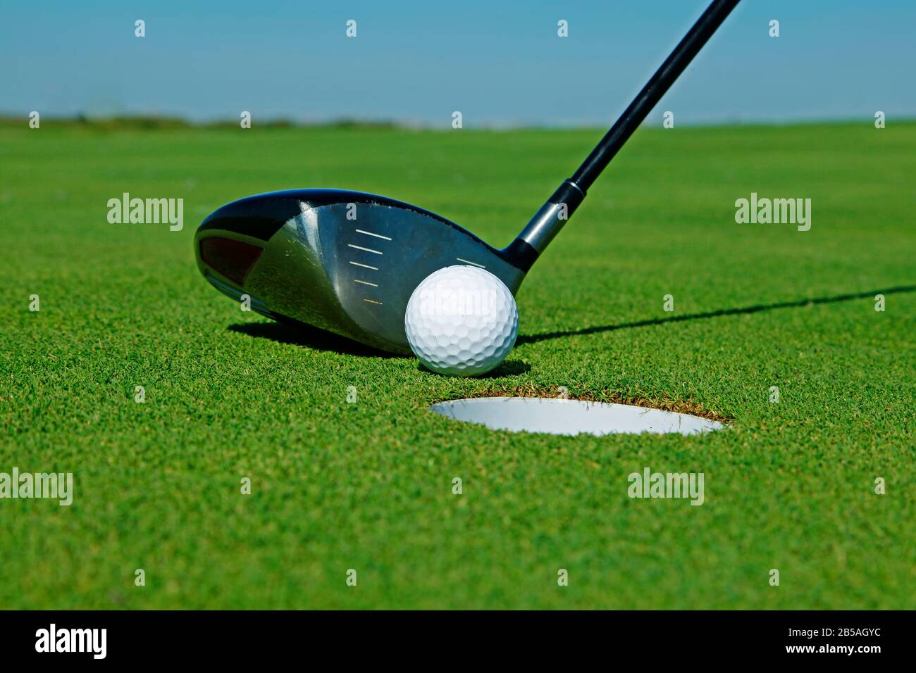 Golf club and ball in grass Stock Photo - Alamy