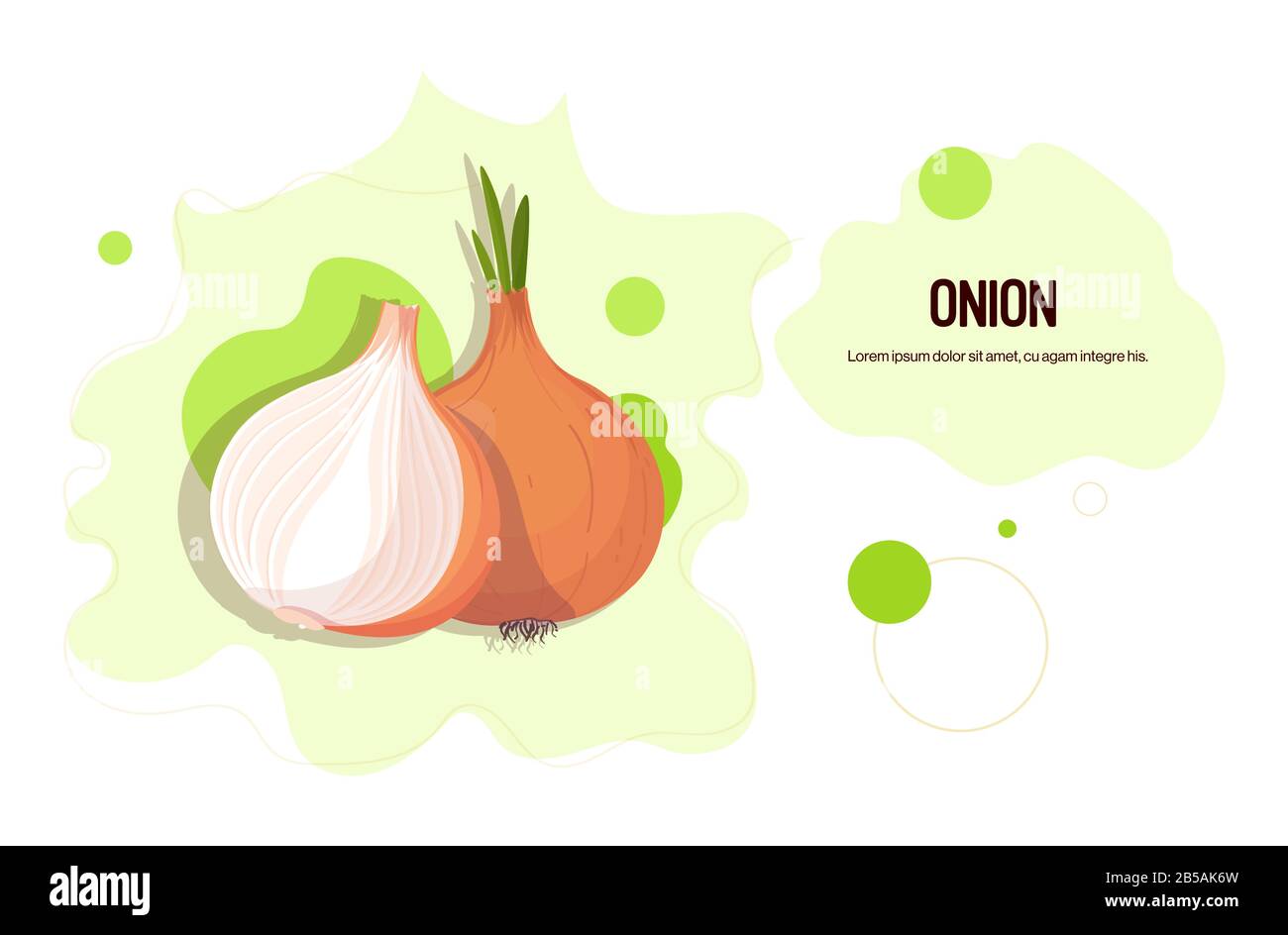 fresh onion sticker tasty vegetable icon healthy food concept horizontal copy space vector illustration Stock Vector