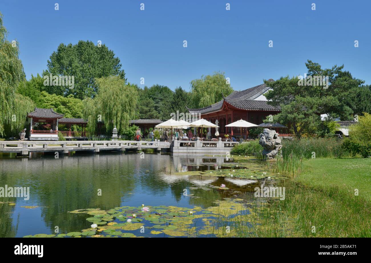 Chinesischer Garten, Erholungspark Marzahn, Blumberger Damm, Marzahn, Berlin, Deutschland Stock Photo