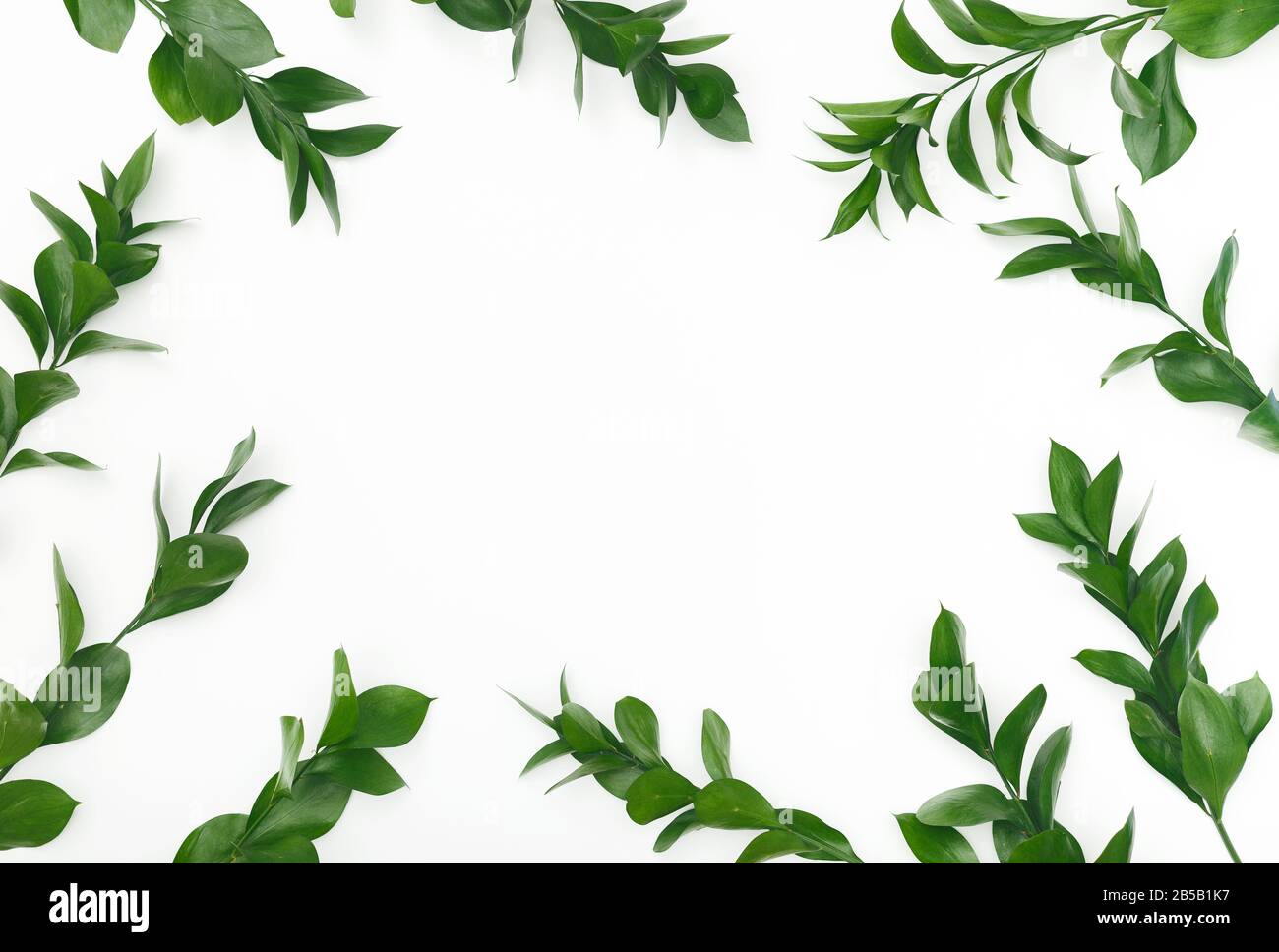 Natural frame of green leaves on white background Stock Photo - Alamy