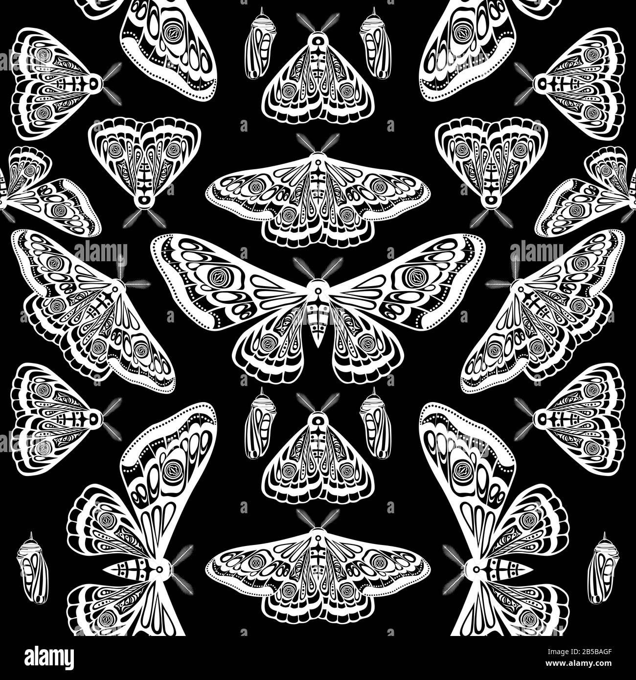 Night moth, butterfly pupa. Vector illustration. Seamless pattern Stock ...