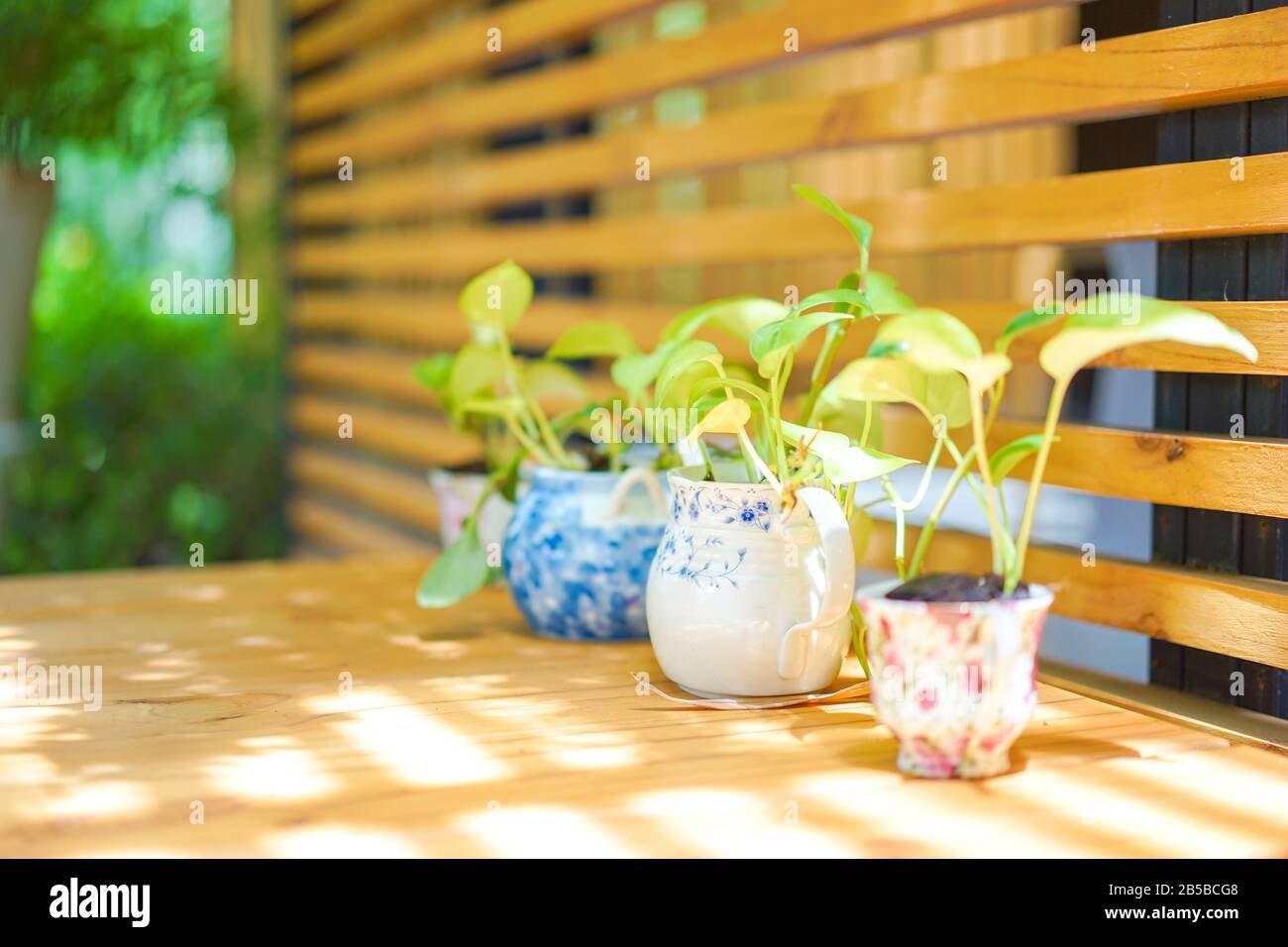 teapot to tree pot decoration in wood table and shelf in Asia garden