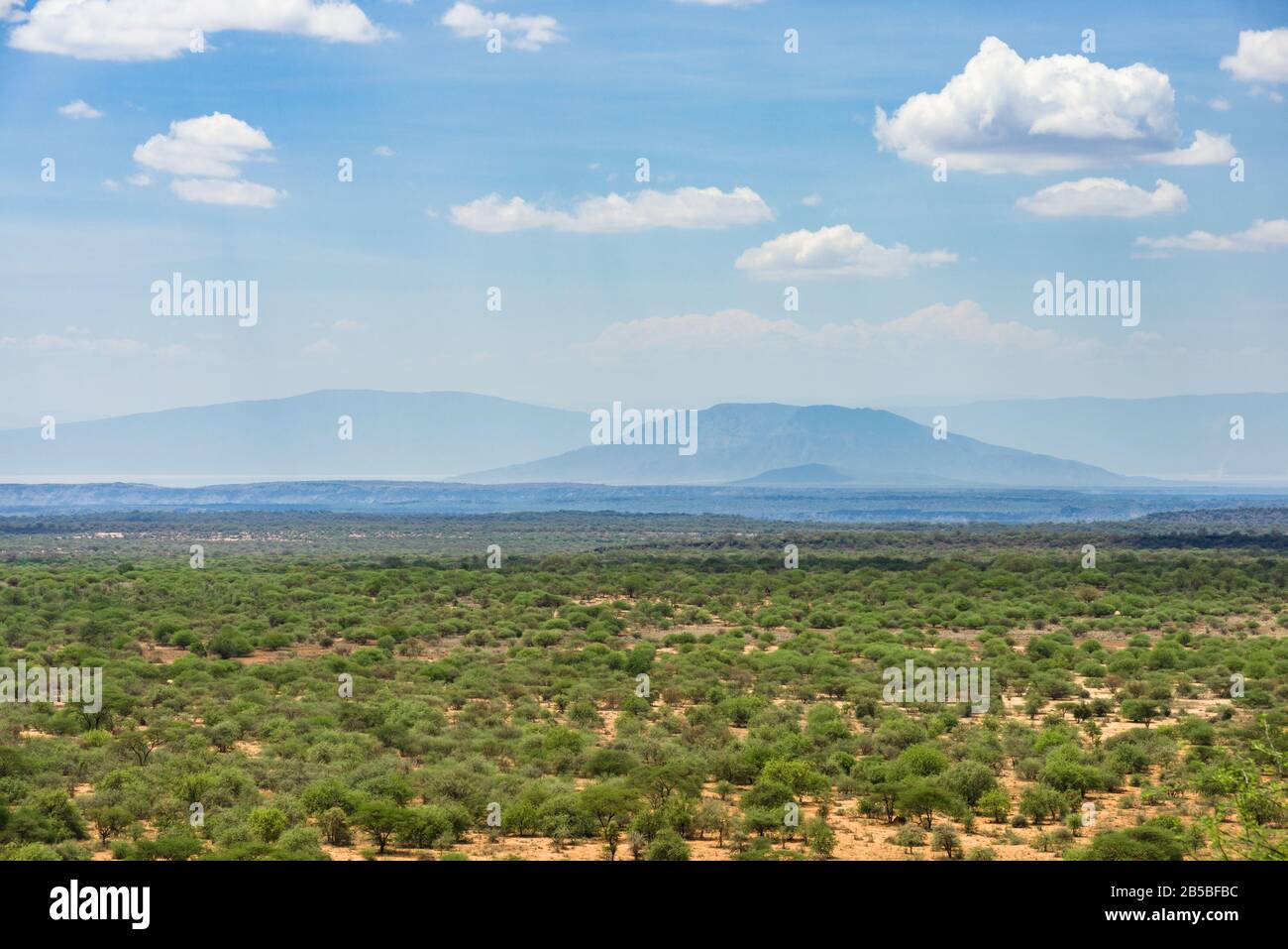 View of Kajiado County landscape with acacia trees and hills in background, Kenya Stock Photo