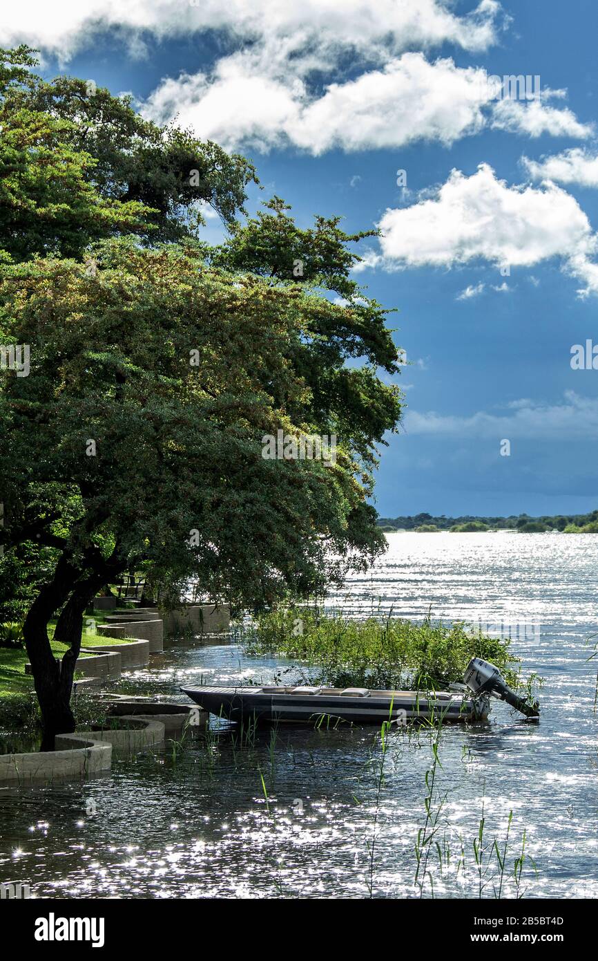 A boat with outboard motor tethered under trees on the Okavango River in Flood. Stock Photo