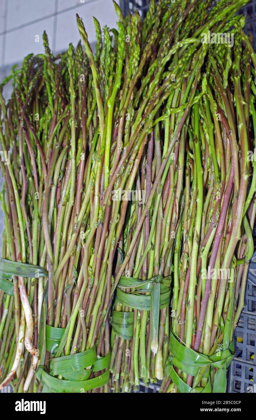 Brunch of wils asparagus from Sardinia countryside Stock Photo
