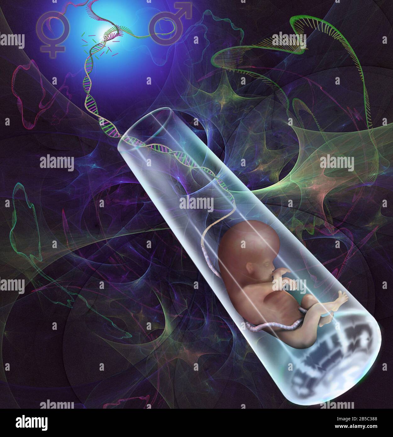 Test tube baby, conceptual illustration Stock Photo