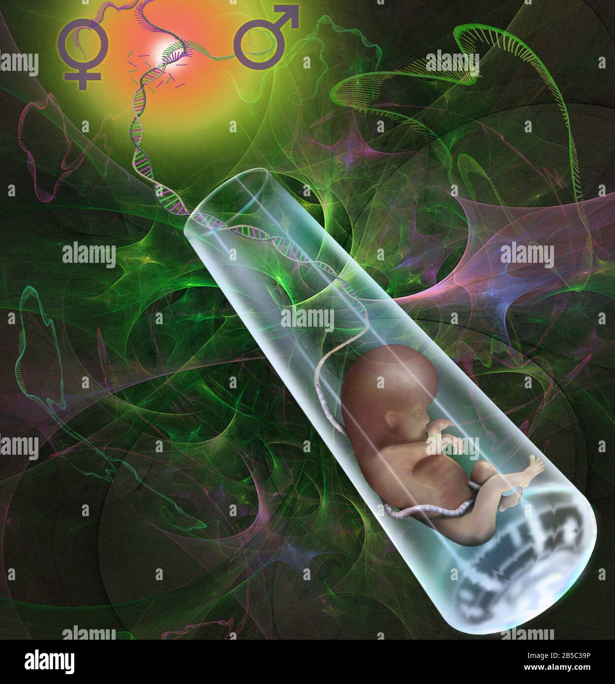 Test tube baby, conceptual illustration Stock Photo Alamy