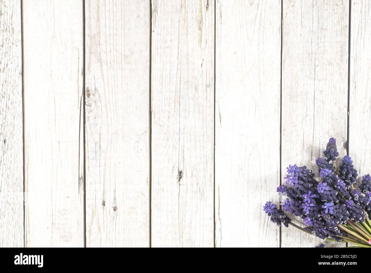 One of the first spring flowers on the wooden background, arranged in the bouquet Stock Photo