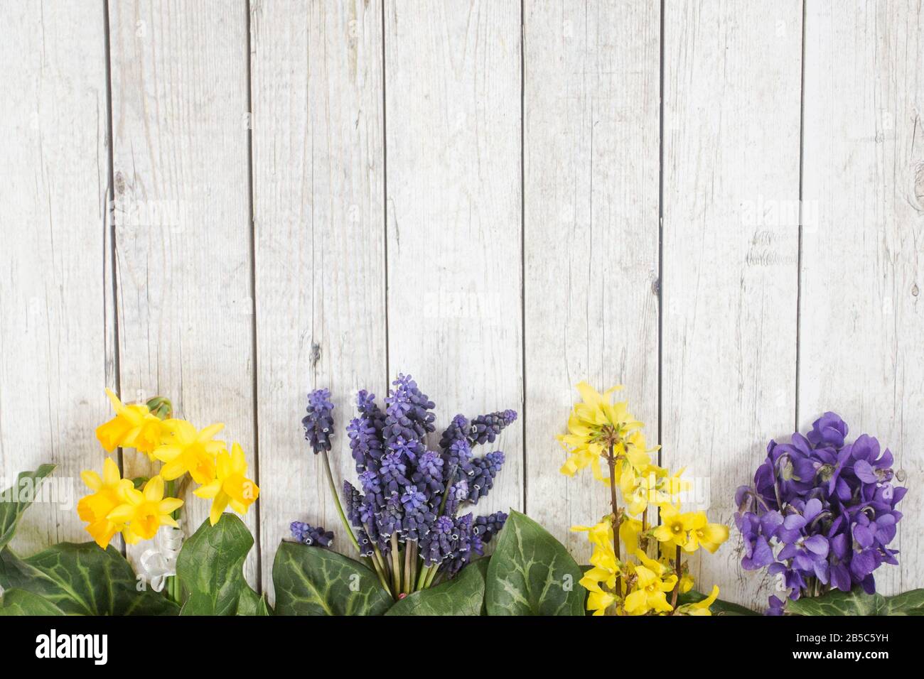 One of the first spring flowers on the wooden background, arranged in the bouquet Stock Photo
