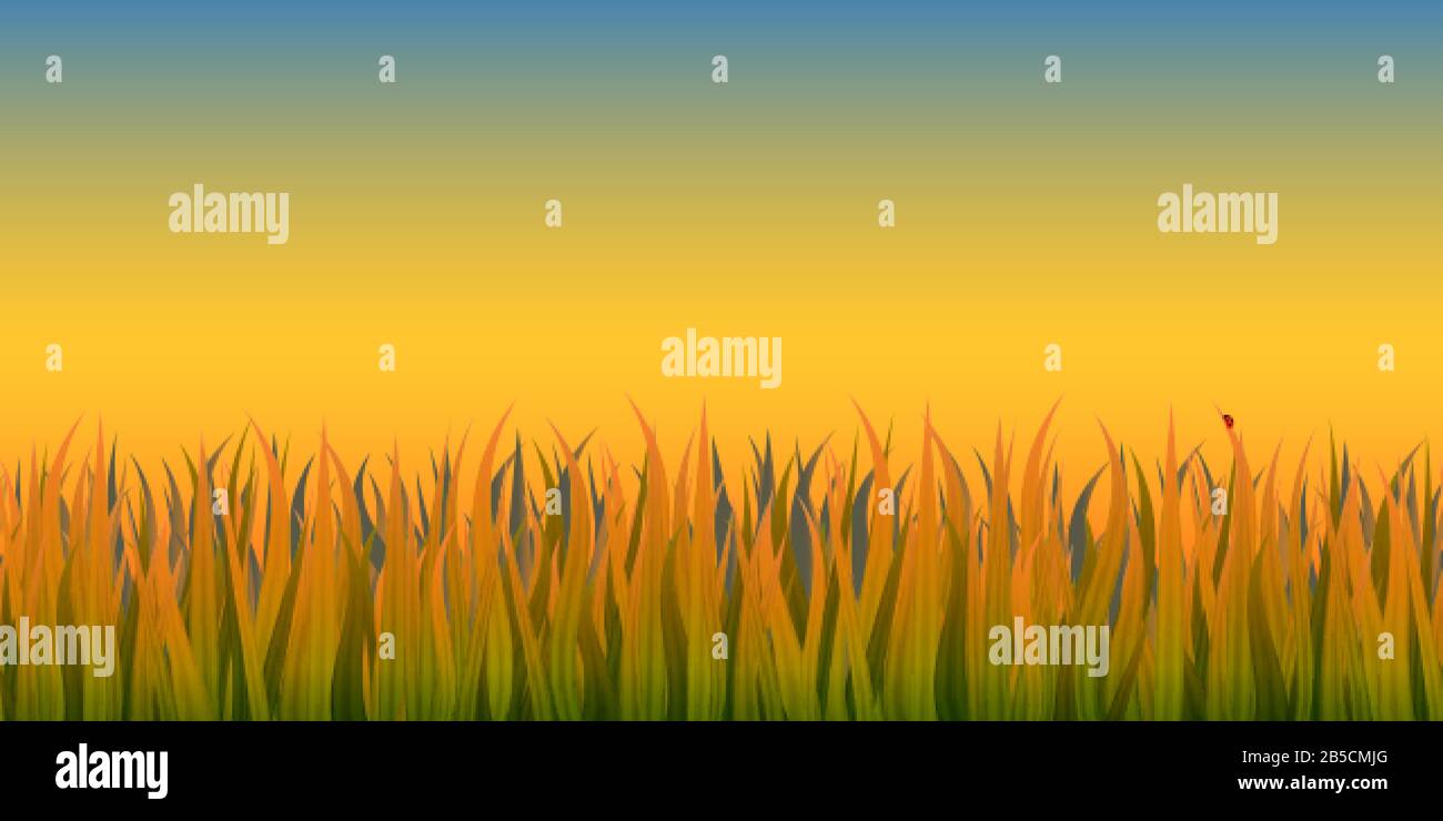 Grass vector vectors hi-res stock photography and images - Alamy