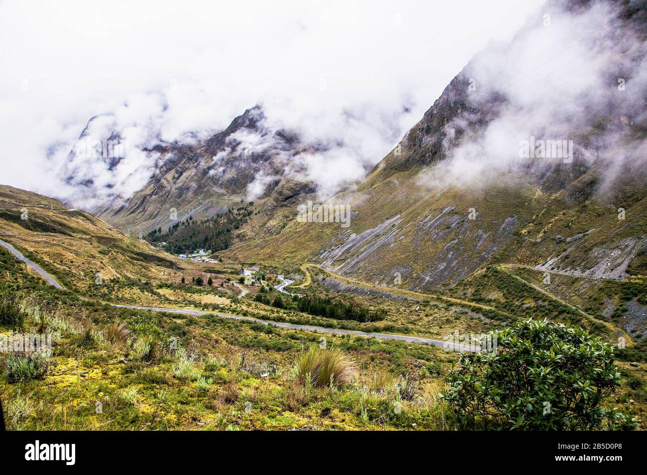 Yungas bolivia national park hi-res stock photography and images - Alamy