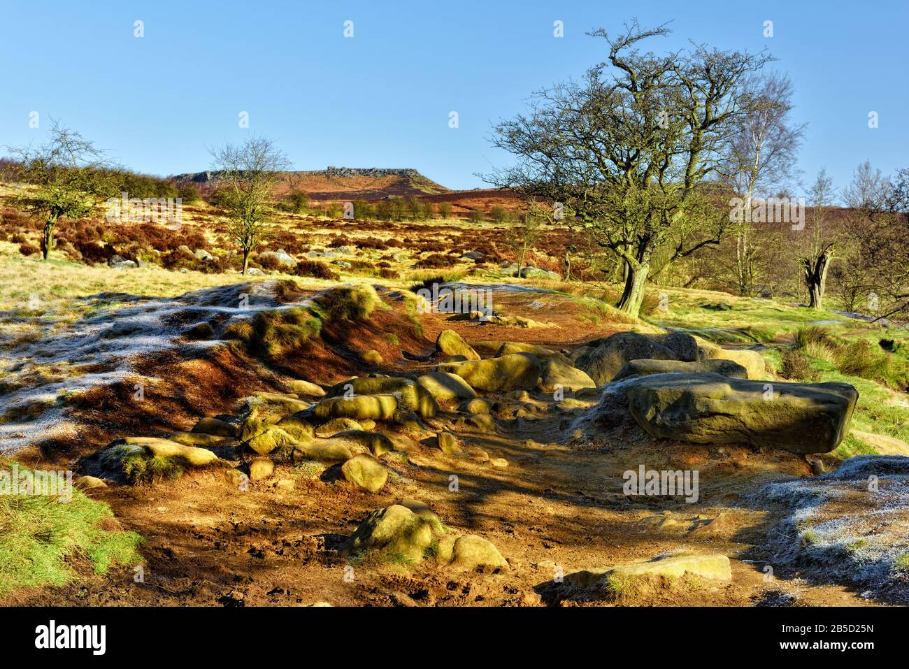 Padley Gorge Trail, Peak District National Park,Longshaw Estate,Derbyshire,England,UK Stock Photo