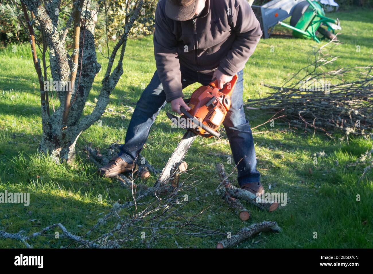 Lumberjack cutting branch on the ground with a chain saw Stock Photo