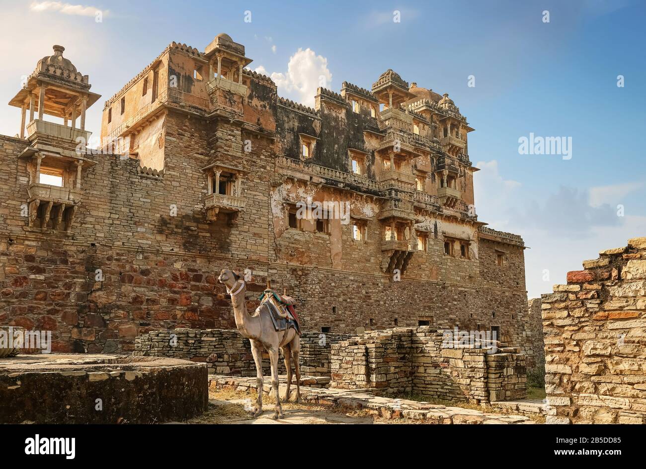 Camel for tourist ride at the ancient ruins of Rana Kumbha Palace at Chittorgarh Fort Rajasthan, India Stock Photo
