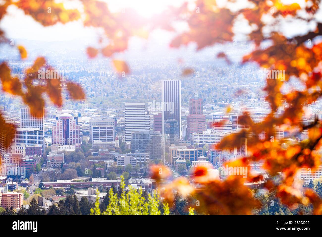 Portland downtown view from the Macleay park through autumn leaves branch Stock Photo