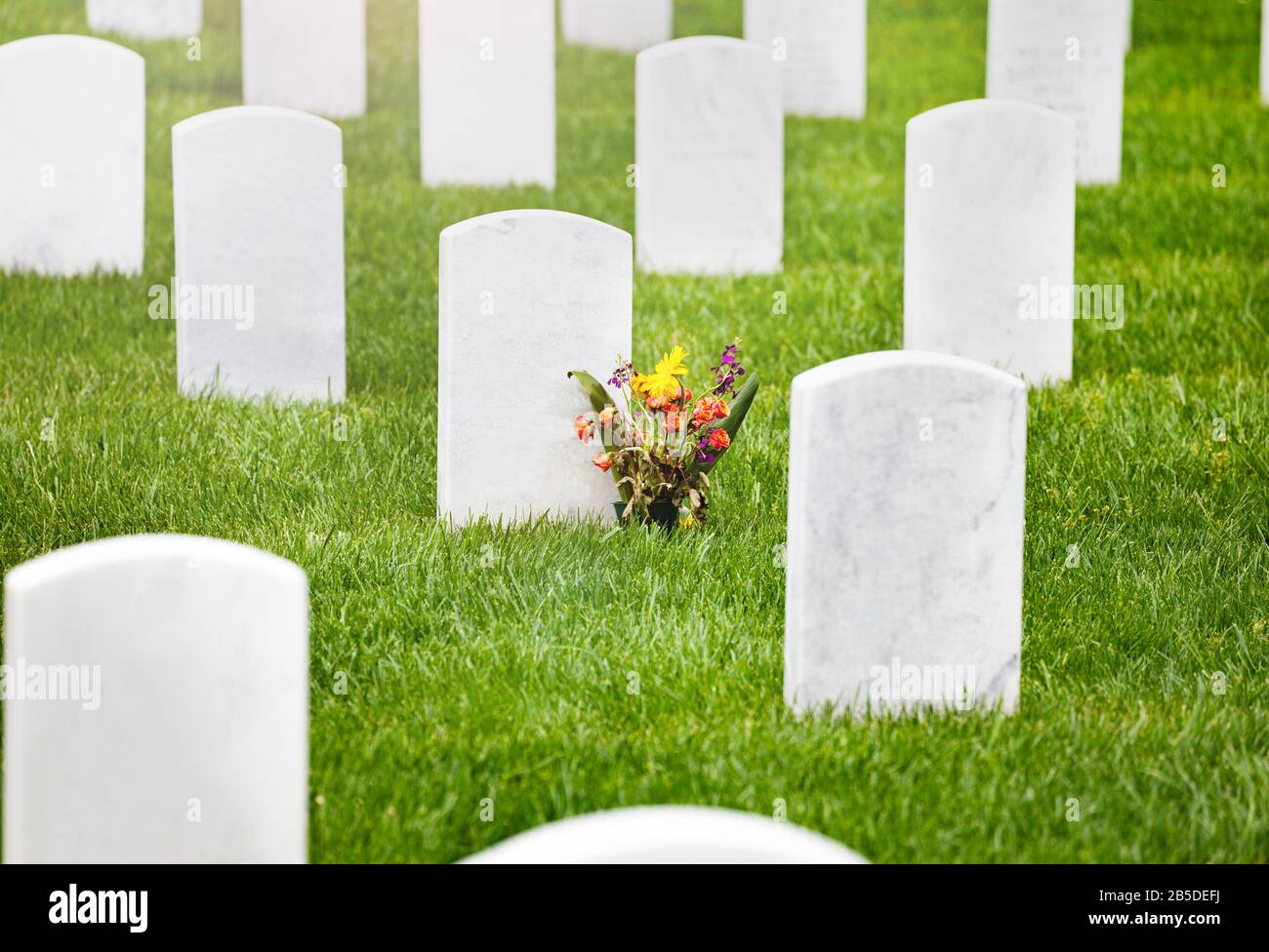 Flowers on the tombstone of military cemetery graveyard many white