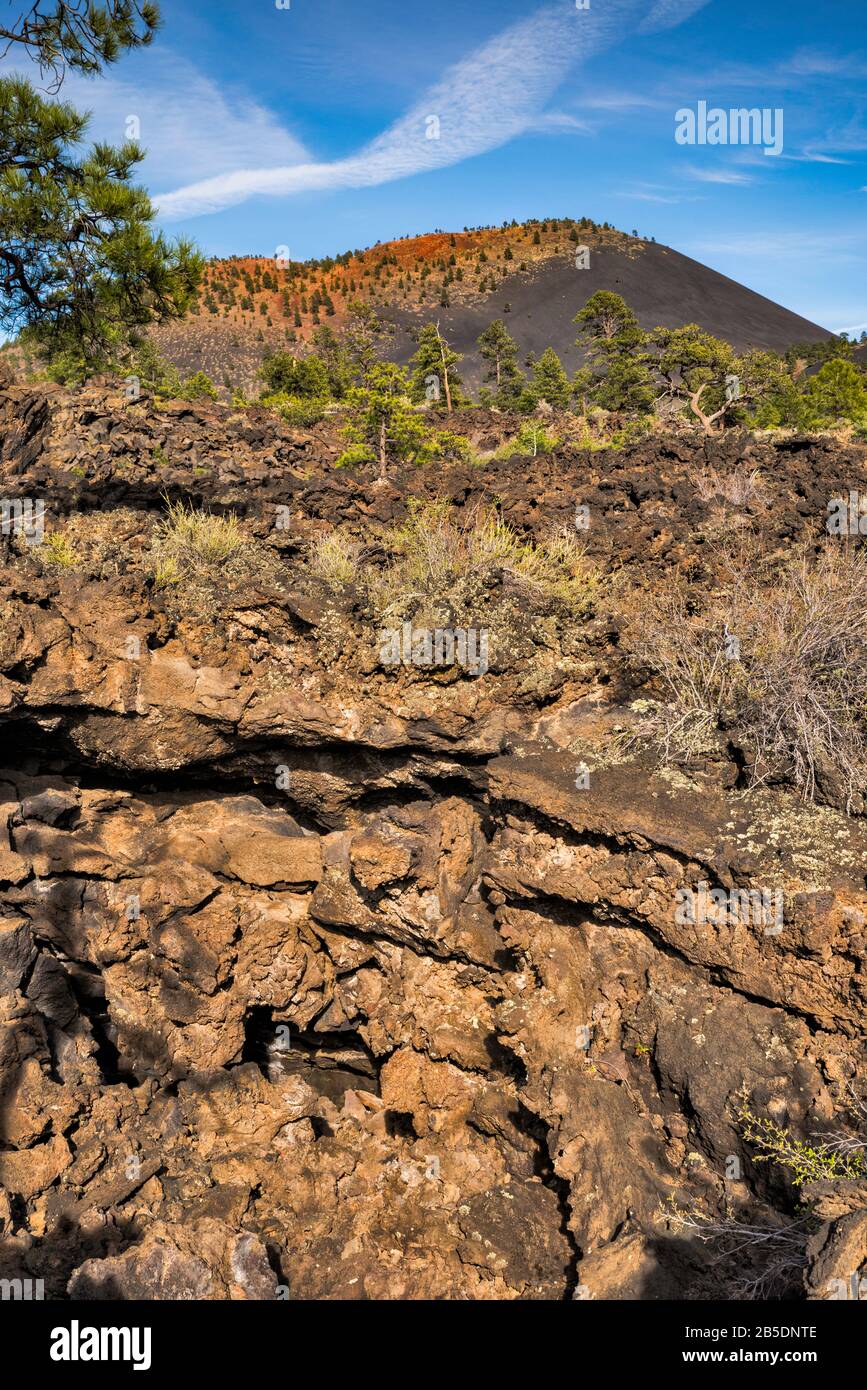 Sunset Crater over Bonito Lava Flow, Sunset Crater Volcano National Monument, Arizona, USA Stock Photo