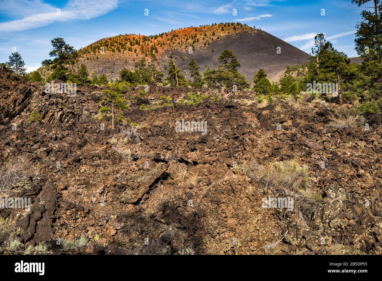 Sunset Crater over Bonito Lava Flow, Sunset Crater Volcano National Monument, Arizona, USA Stock Photo
