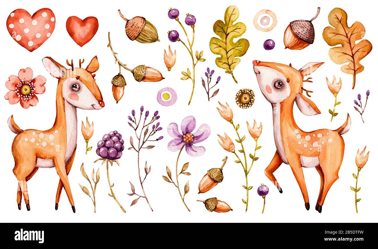 Cartoon Forest Animals Woodland High Resolution Stock Photography And Images Alamy