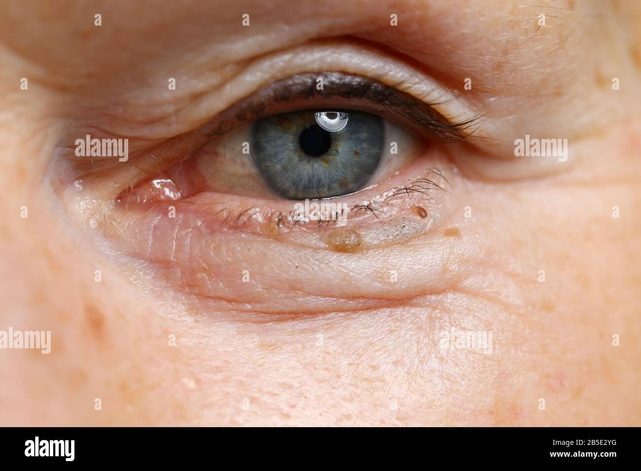 Charming middle aged person Stock Photo