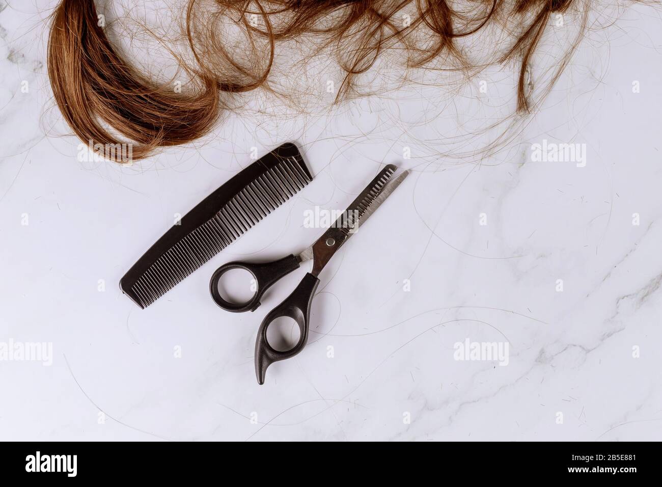 Professional scissors stylist hairdresser trimming brown hair with ...