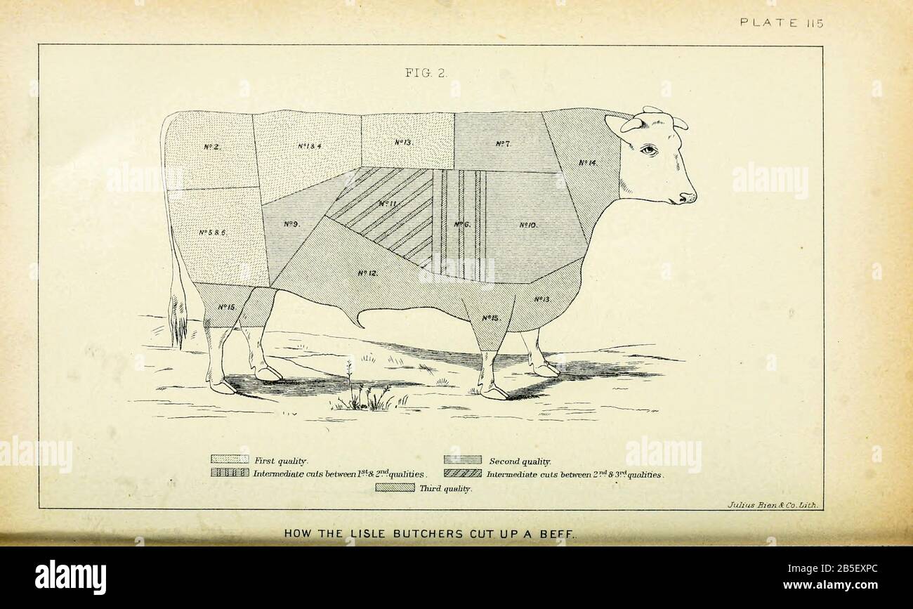 Beef Chart High Resolution Stock Photography And Images Alamy