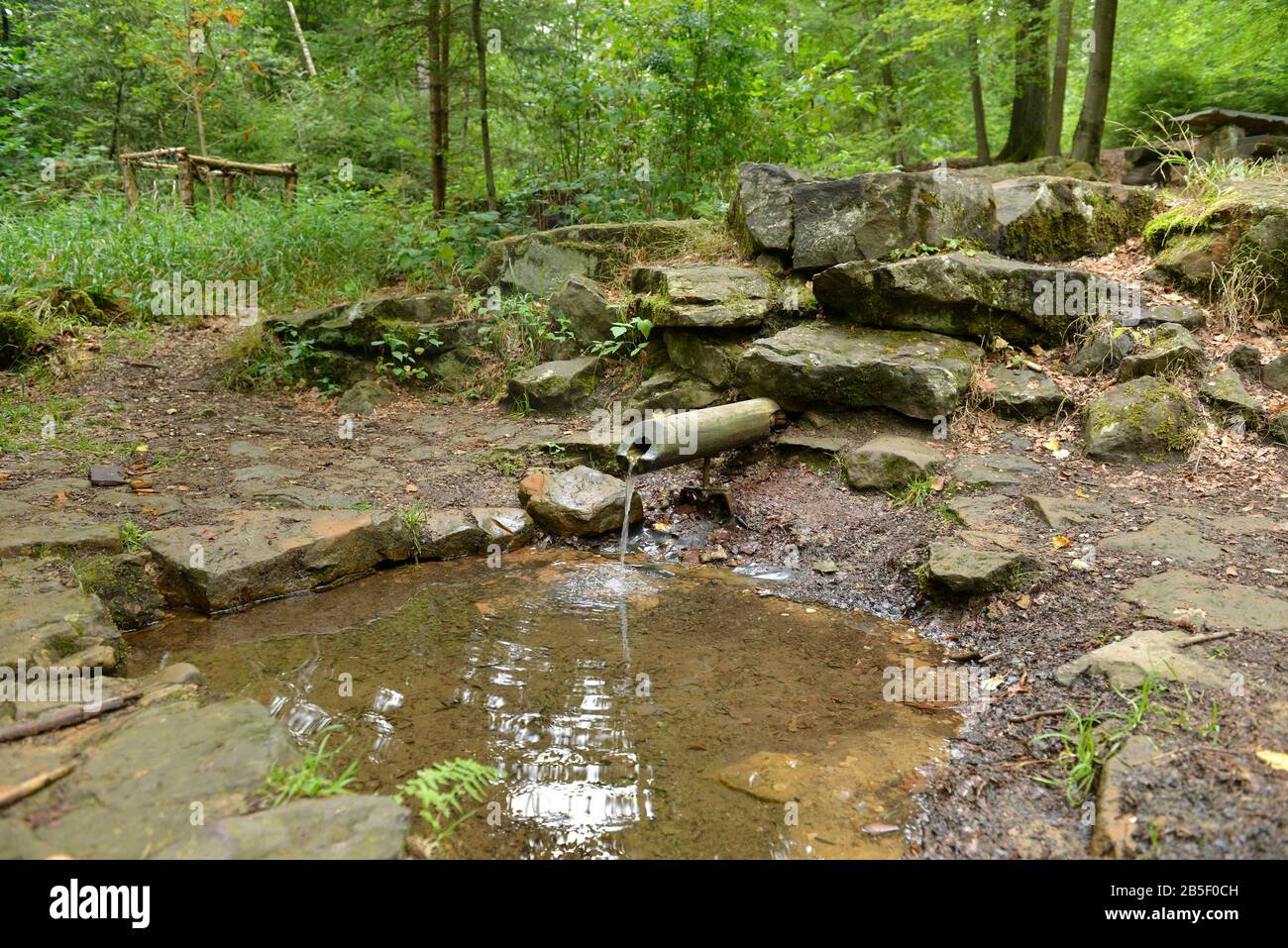 quelle-wasser-hi-res-stock-photography-and-images-alamy