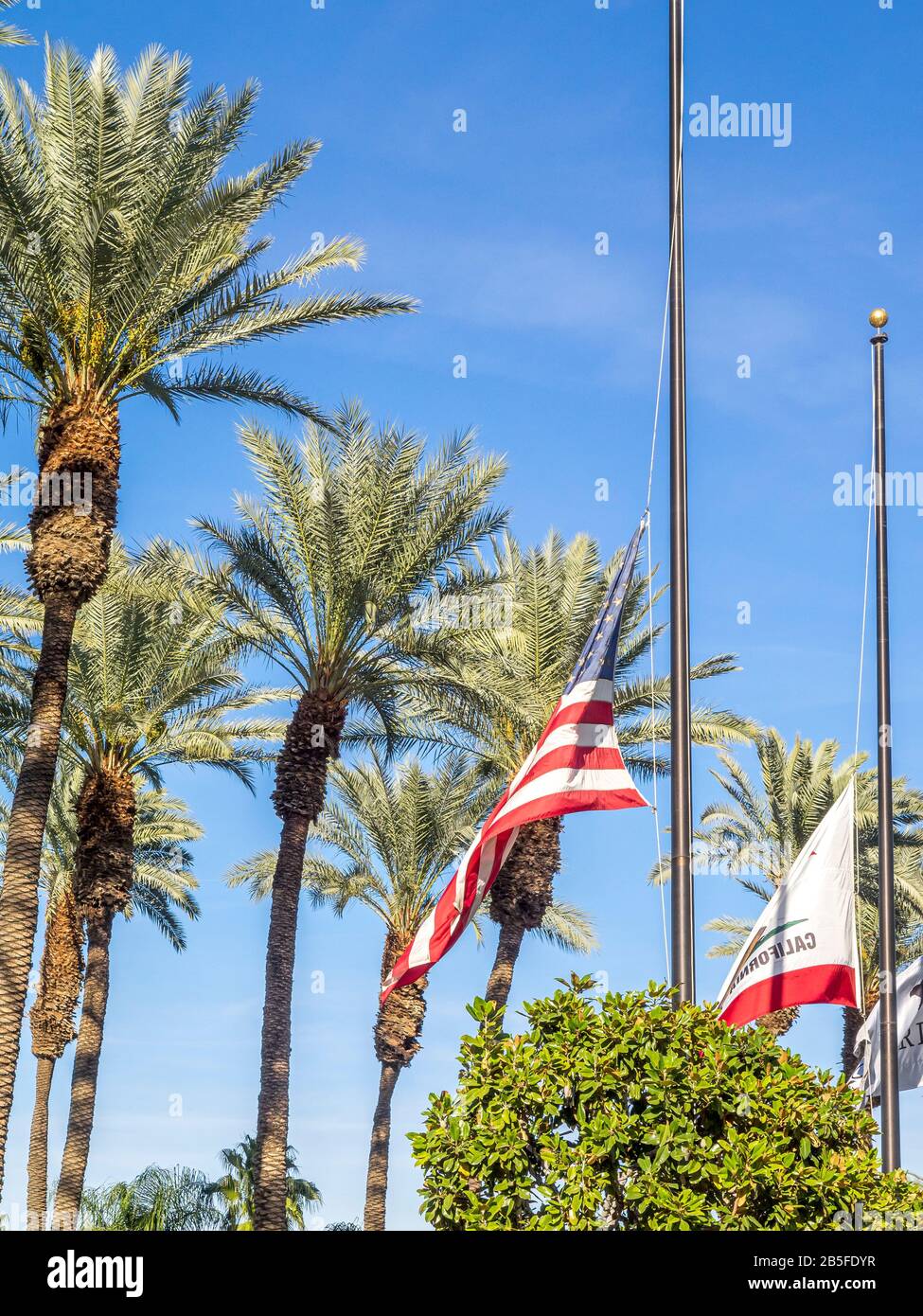 Flags at half mast at the JW Marriott Desert Springs Resort & Spa on