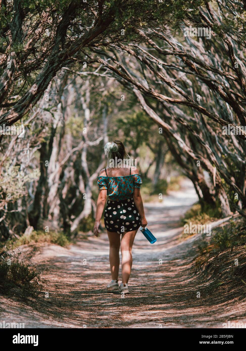 A young woman walking through a pathway of trees on her travels through Australia Stock Photo