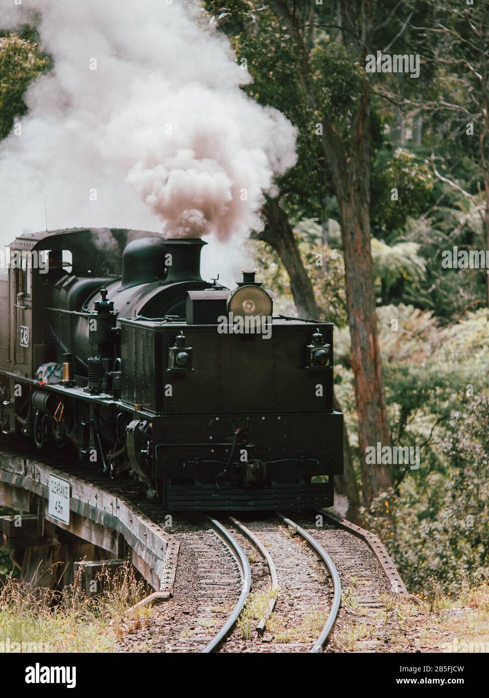 An old steam train on a railway bridge, travelling through a rainforest in Australia Stock Photo