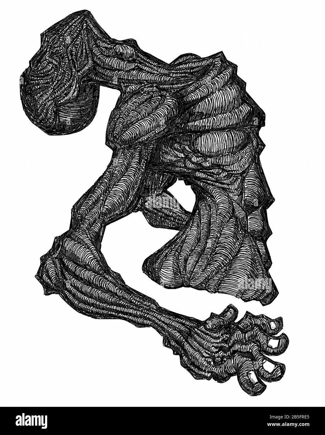 Ink Drawing (Hatch Work) of Contorted Detailed Muscular Body in a Textured Unique Style. Artistic Manual Illustration turned to Vector. Pain, Agony, Stock Vector