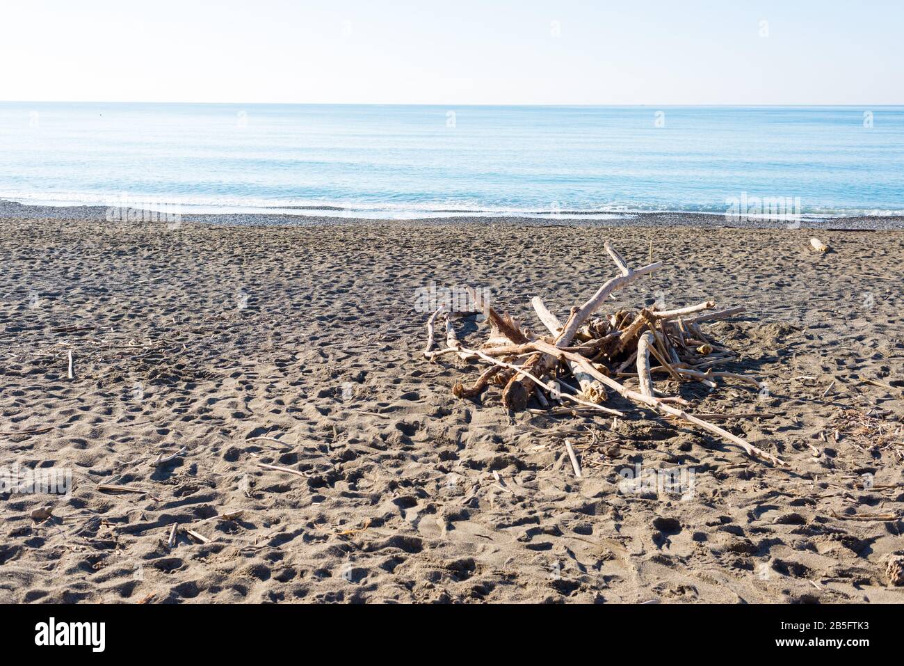 Winter seaside scene in Tuscany with wooden logs on sandy beach, sunny weather and calm sea Stock Photo