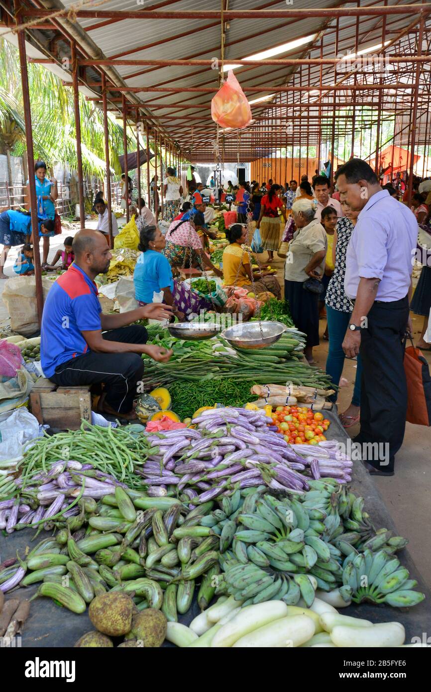 Wochenmarkt, Tangalle, Sri Lanka Stock Photo