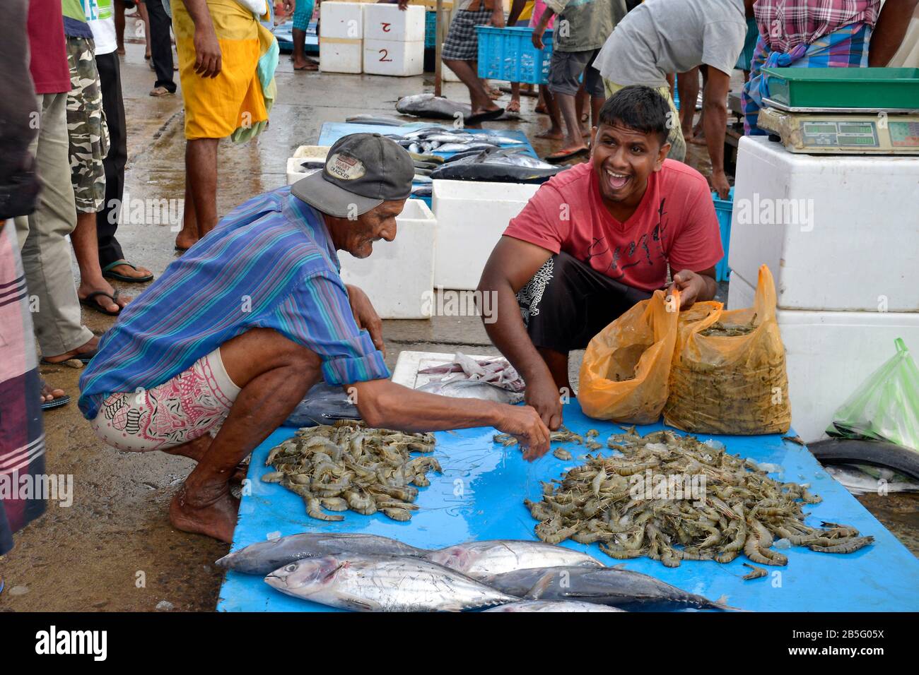 Fischmarkt, Hafen, Tangalle, Sri Lanka Stock Photo