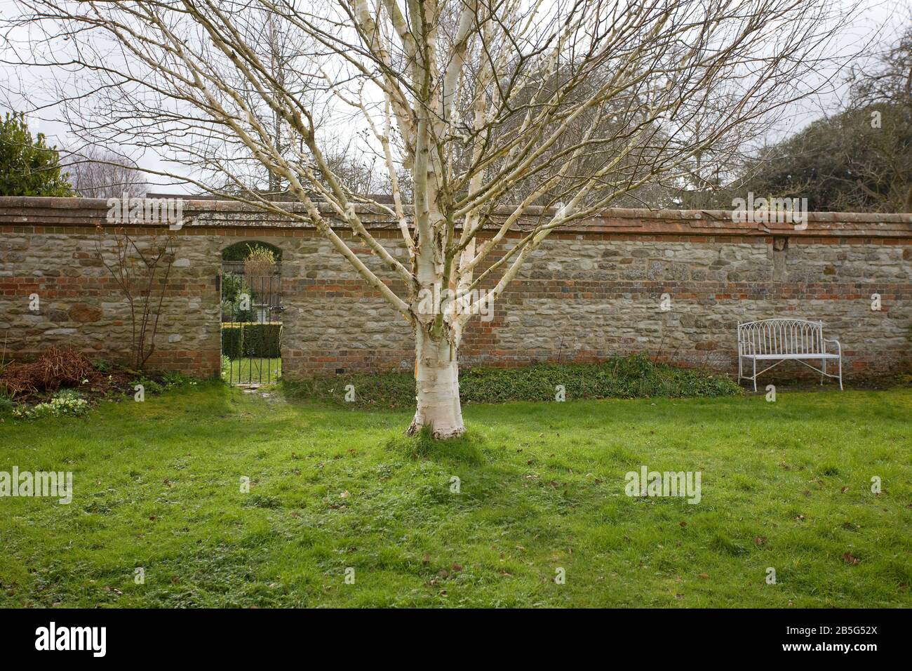 Walled garden in early spring, Oxfordshire, Uk Stock Photo
