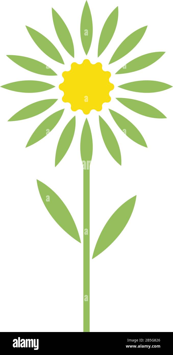 Edelweiss logo illustration vector design Stock Vector