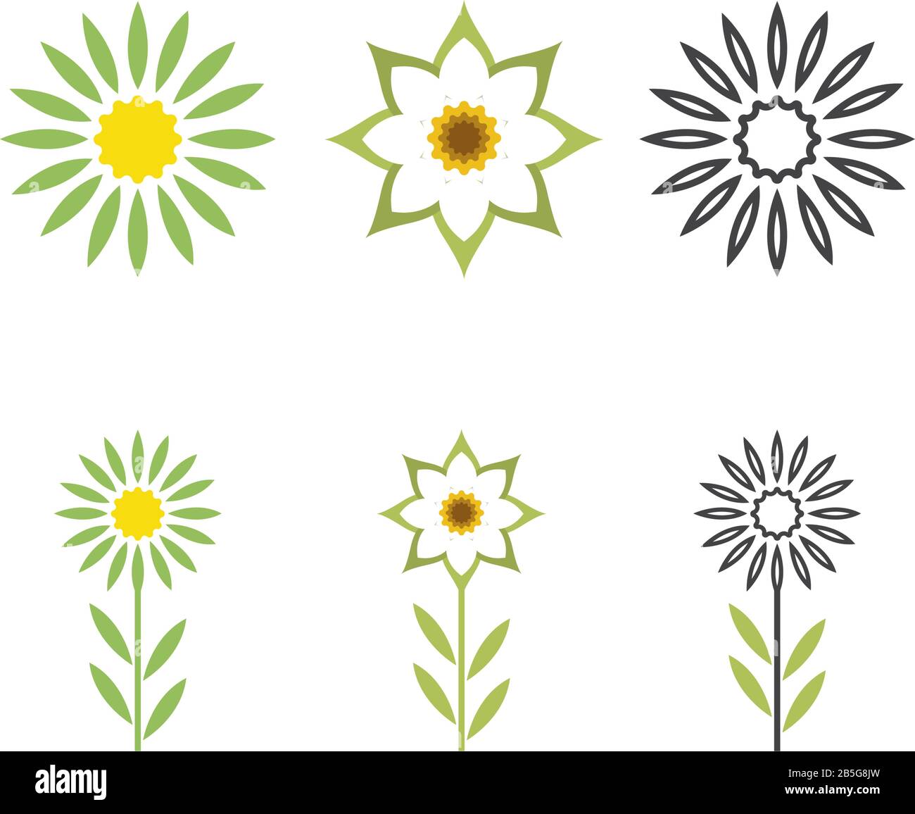 Edelweiss logo illustration vector design Stock Vector