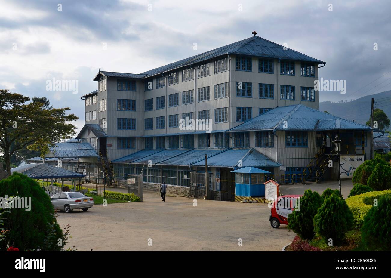 Teefabrik, Mount Harrow, Nuwara Eliya, Sri Lanka Stock Photo Alamy Teefabrik, Mount Harrow, Nuwara Eliya, Sri Lanka Stock Photo Alamy